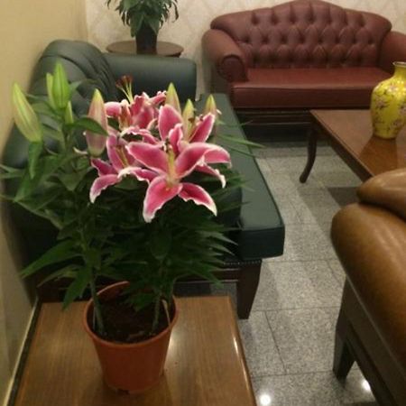 Uenver Hotel Адана Екстер'єр фото